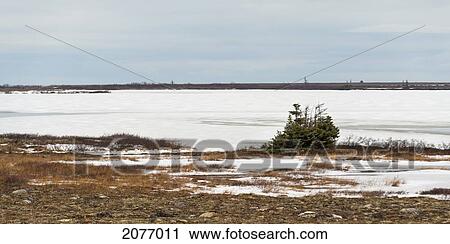 Stock Image - Snow On A Barren Landscape; Churchill Manitoba Canada. Fotosearch