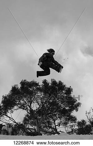 Snowboarder in mid-air with tree and cloudy sky; Falls Creek, Australia View Large Photo Image Picture - Snowboarder in mid-air with tree and cloudy sky; Falls Creek, Australia. Fotosearch