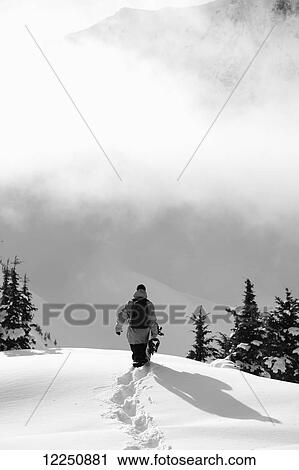 Snowboarder walking through deep snow on a mountain; Haines, Alaska, United States of America View Large Photo Image Stock Image - Snowboarder walking through deep snow on a mountain; Haines, Alaska, United States of America. Fotosearch