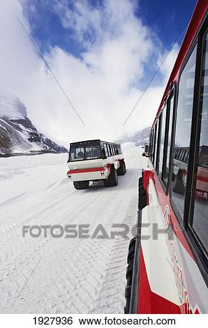 Snowcoaches In Jasper National Parks, Alberta, Canada View Large Photo Image Stock Photograph - Snowcoaches In Jasper National Parks, Alberta, Canada. Fotosearch