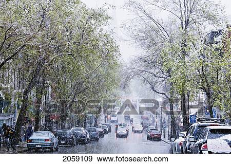 Stock Photo - Snowstorm, Saint-Denis Street, Montreal, Quebec. Fotosearch