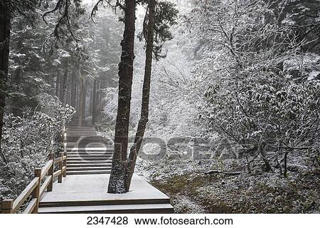 Snowy Flooring Through The Forest Of Huanglong, A World's Heritage Site; Sichuan Province, China View Large Photo Image Stock Photo - Snowy Flooring Through The Forest Of Huanglong, A World's Heritage Site; Sichuan Province, China. Fotosearch