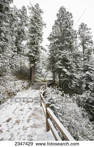 Snowy Flooring Through The Forest Of Huanglong, A World's Heritage Site; Sichuan Province, China View Large Photo Image Stock Photo - Snowy Flooring Through The Forest Of Huanglong, A World's Heritage Site; Sichuan Province, China. Fotosearch