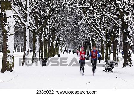 Snowy Jogging; Greenwich Park, London, England, Uk View Large Photo Image Stock Image - Snowy Jogging; Greenwich Park, London, England, Uk. Fotosearch
