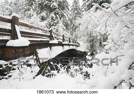 Snowy Pedestrian Bridge Through Forest View Large Photo Image Stock Image - Snowy Pedestrian Bridge Through Forest. Fotosearch