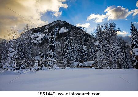 Snowy Shot Of Cabins View Large Photo Image Stock Photo - Snowy Shot Of Cabins. Fotosearch