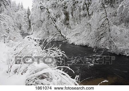Picture - Snowy Stream. Fotosearch
