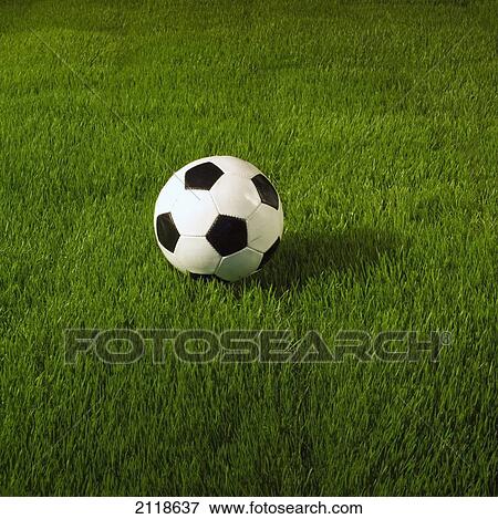 Soccer Ball On Grass View Large Photo Image Stock Photo - Soccer Ball On Grass. Fotosearch