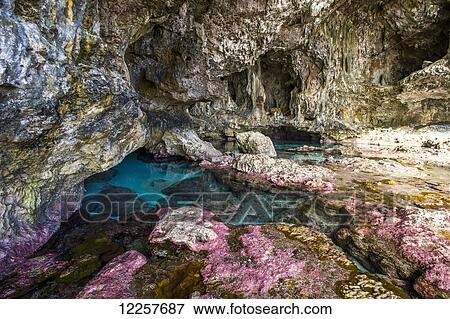 Soft corals decorate the ocean caves that line the Nuie coastline; Niue View Large Photo Image Stock Photo - Soft corals decorate the ocean caves that line the Nuie coastline; Niue. Fotosearch