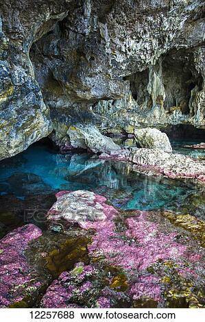 Stock Photo - Soft corals decorate the ocean caves that line the Nuie coastline; Niue. Fotosearch