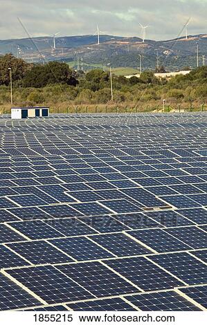 Solar Panels And Wind Turbines, San Roque, Cadiz, Spain View Large Photo Image Stock Photography - Solar Panels And Wind Turbines, San Roque, Cadiz, Spain. Fotosearch