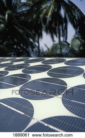 Stock Image - Solar Panels On Roof Next To Palm Trees, Close Up. Fotosearch