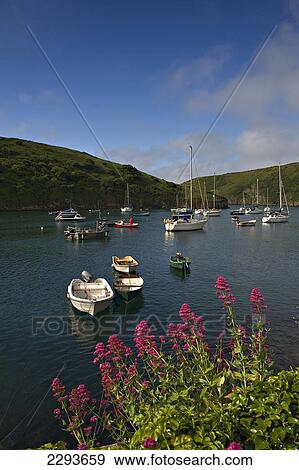 Solva harbour. Pembrokeshire. Wales. UK. View Large Photo Image Stock Photo - Solva harbour. Pembrokeshire. Wales. UK.. Fotosearch
