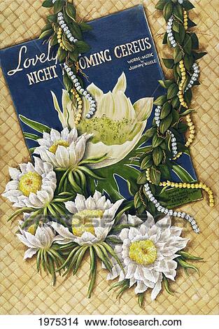 Song Of The Cereus, Still Life Of Flowers, Hawaiian Leis And Sheet Music On Lauhala Mat (Acrylic Painting). View Large Photo Image Picture - Song Of The Cereus, Still Life Of Flowers, Hawaiian Leis And Sheet Music On Lauhala Mat (Acrylic Painting).. Fotosearch