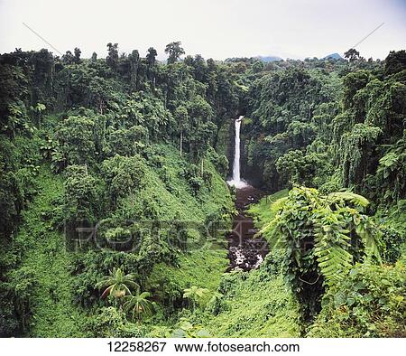 Sopo'aga Falls; Upolu Island, Samoa View Large Photo Image Stock Photo - Sopo'aga Falls; Upolu Island, Samoa. Fotosearch
