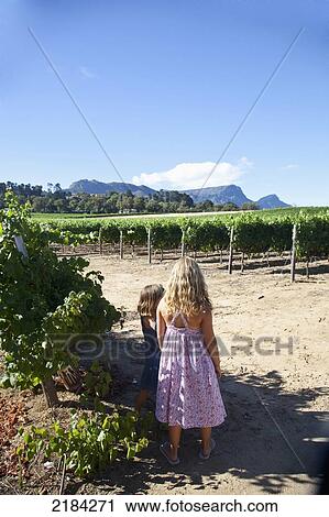 South Africa, Children At Constantia Vineyard; Cape Town View Large Photo Image Stock Image - South Africa, Children At Constantia Vineyard; Cape Town. Fotosearch