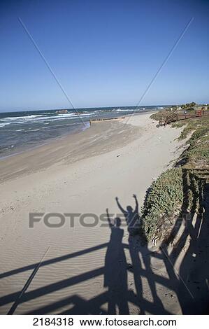 Stock Photo - South Africa, Garden Route, Shadows On Boardwalk; Port Elizabeth. Fotosearch