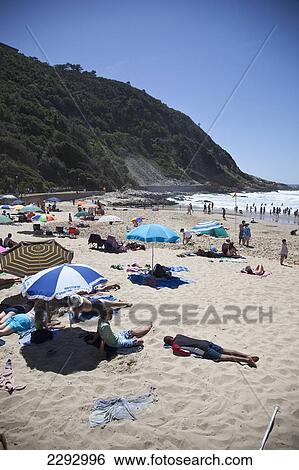 South Africa, Garden Route, Tourist Sunbathing On Beach; Victoria Bay View Large Photo Image Stock Photograph - South Africa, Garden Route, Tourist Sunbathing On Beach; Victoria Bay. Fotosearch