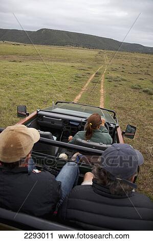 Stock Image - South Africa, Garden Route, Tourists On Game Drive Taking Photos; Kariega Game Reserve. Fotosearch