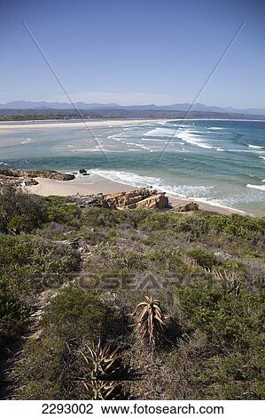 South Africa, Garden Route, View Of Coastline And Sea; Plettenberg Bay View Large Photo Image Stock Image - South Africa, Garden Route, View Of Coastline And Sea; Plettenberg Bay. Fotosearch