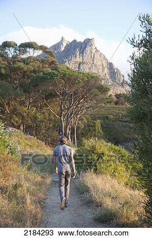 South Africa, Man Walking In Park At Base Of Table Mountain At Sunset; Cape Town View Large Photo Image Stock Image - South Africa, Man Walking In Park At Base Of Table Mountain At Sunset; Cape Town. Fotosearch