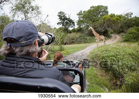 Picture - South Africa. Fotosearch