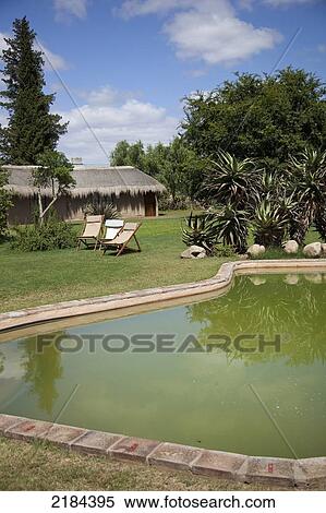 Stock Photography - South Africa, Pond In Addo Elephant National Park; Garden Route. Fotosearch