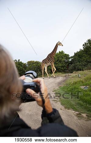 Stock Photo - South Africa. Fotosearch