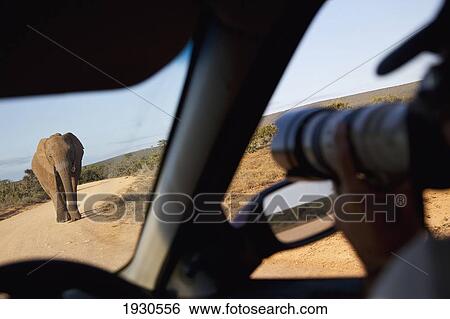 South Africa View Large Photo Image Stock Photograph - South Africa. Fotosearch