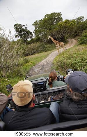 Stock Photography - South Africa. Fotosearch
