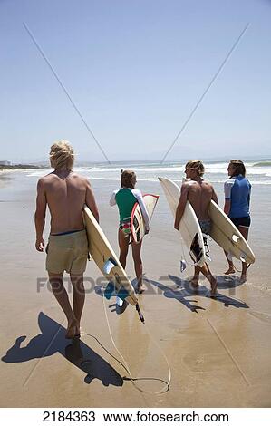 Stock Image - South Africa, Surfers Walking Beach Carrying Boards; Mossel Bay. Fotosearch