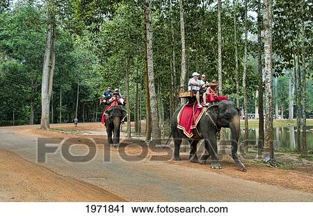 Stock Image - South East Asia, Cambodia, Siem Reap, Tourists Take A Guided Elephant Tours Through Forest.. Fotosearch