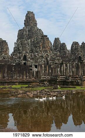 South East Asia, Cambodia, Siem Reap, Banyan Temple, Flock Of Water Birds Swim Past Temple Ruins. View Large Photo Image Stock Photo - South East Asia, Cambodia, Siem Reap, Banyan Temple, Flock Of Water Birds Swim Past Temple Ruins.. Fotosearch