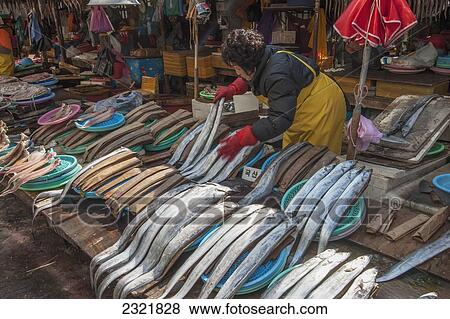 South Korea, Pusan, Woman sorting fish on display at fish market View Large Photo Image Stock Photo - South Korea, Pusan, Woman sorting fish on display at fish market. Fotosearch
