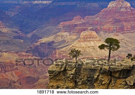 South Rim Of Grand Canyon, Elevated View View Large Photo Image Stock Photo - South Rim Of Grand Canyon, Elevated View. Fotosearch