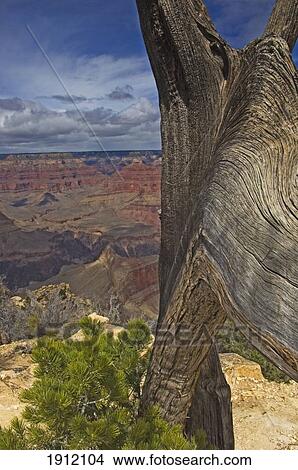 South Rim Of Grand Canyon National Park, Arizona, Usa View Large Photo Image Picture - South Rim Of Grand Canyon National Park, Arizona, Usa. Fotosearch