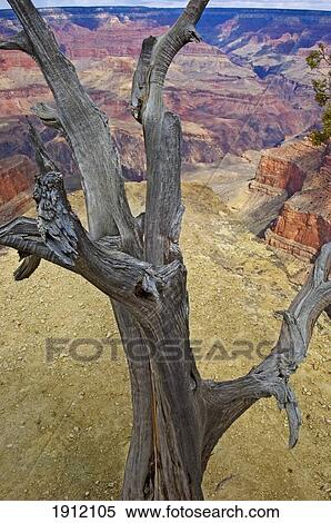 Stock Photography - South Rim Of Grand Canyon National Park, Arizona, Usa. Fotosearch