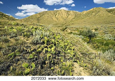 Stock Image - South Saskatchewan River Valley Near Glidden, Saskatchewan. Fotosearch