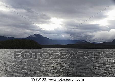 Stock Image - Southern Beech Forest Dominated By Nothofagus Betuloides, Nothofagus Dombeyi And Nothofagus Nitida By Moraleda Channel, Aysen Region, Chile. Fotosearch