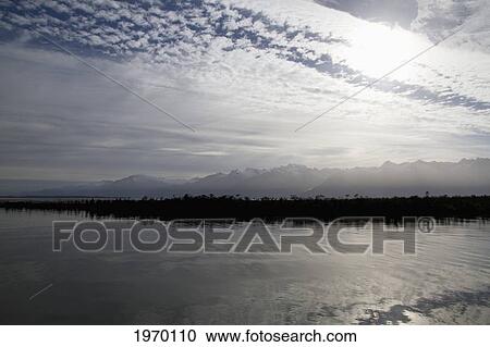 Stock Image - Southern Beech Forest Dominated By Nothofagus Betuloides, Nothofagus Dombeyi And Nothofagus Nitida Reflected In Moraleda Channel, Las Guaitecas National Reserve, Aysen Region, Chile. Fotosearch