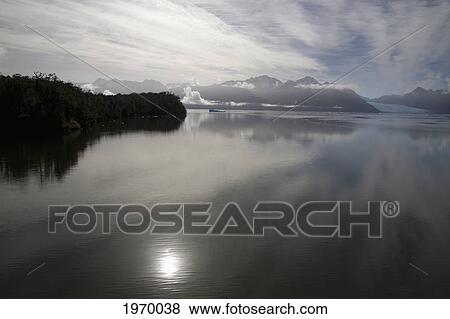 Stock Photo - Southern Beech Forest, San Rafael Glacier And Laguna San Rafael, Laguna San Rafael National Park, Aysen Region, Chile. Fotosearch