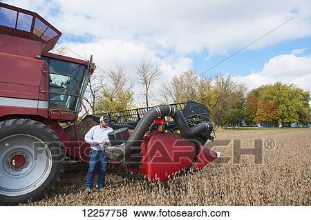 Soybean harvesting; Minnesota, United States of America View Large Photo Image Stock Photo - Soybean harvesting; Minnesota, United States of America. Fotosearch