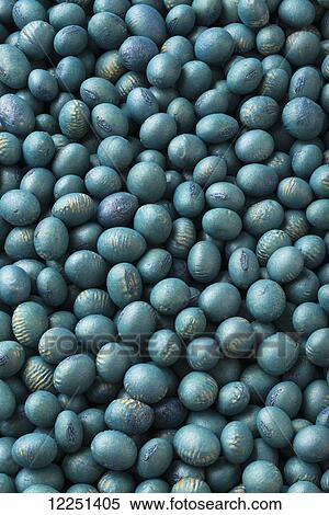 Soybean seeds that have been treated with a protective, anti-fungal coating for planting View Large Photo Image Stock Photography - Soybean seeds that have been treated with a protective, anti-fungal coating for planting. Fotosearch