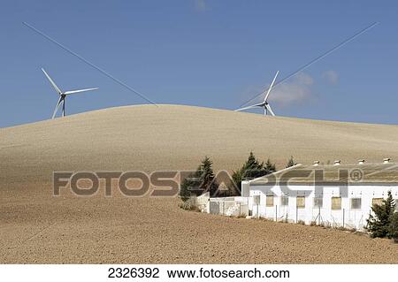 Spain, Andalusia, Malaga, Wind turbines in the countryside; Campillos View Large Photo Image Stock Image - Spain, Andalusia, Malaga, Wind turbines in the countryside; Campillos. Fotosearch