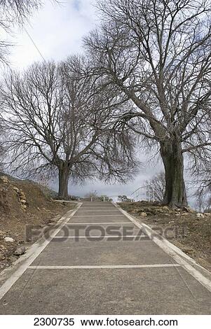 Stock Photography - Spain, Arab Muslim Medieval Town; Cordoba, Path To Al Madinah Al-Zahra. Fotosearch