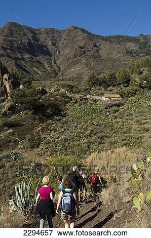 Stock Photo - Spain, Canary Islands, Island of La Gomera, Rear view of tourists in Integral Nature Reserve; Santiago Ravine. Fotosearch