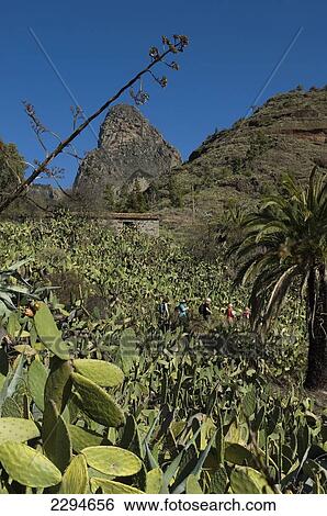 Stock Photograph - Spain, Canary Islands, Roque de Agando in Integral Nature Reserve; Island of La Gomera. Fotosearch