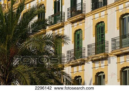 Stock Image - Spain, Ibiza, Old residential building and palm tree; Ibiza Town. Fotosearch