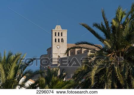 Picture - Spain, Ibiza, Palm trees and Santa Maria cathedral; Ibiza Town. Fotosearch