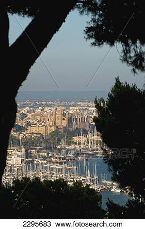 Spain, Majorca, Looking through trees of Parc de Bellver; Palma View Large Photo Image Stock Image - Spain, Majorca, Looking through trees of Parc de Bellver; Palma. Fotosearch